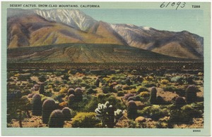 Desert cactus, snow-clad mountains, California