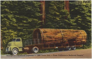"Straughan's Redwood Loghouse -- 1900 Years Old -- From California's Redwood Empire"