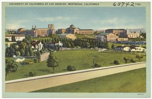 University of California at Los Angeles, Westwood, California