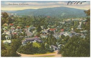 Los Gatos, California