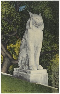 The Sleeping Cat of Los Gatos, Calif.
