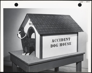 Accident dog house