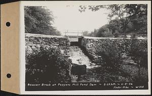 Beaver Brook at Pepper's mill pond dam, Ware, Mass., 8:20 AM, Jun. 8, 1936