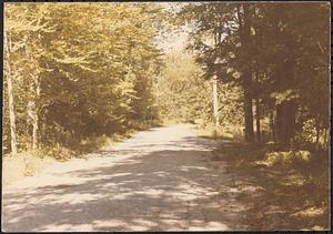 Country road