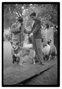 Boston Park Department W.P.A. Recreation Event