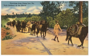 Greetings from Camp Lee, Va., pack artillery on the march.