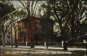 Public library and Bertram elm tree, Salem, Mass.