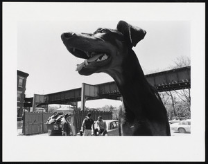 Closeup of dog, elevated tracks in the background