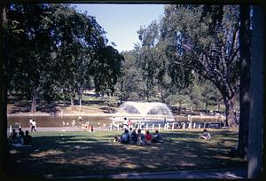 Frog Pond, Boston Common