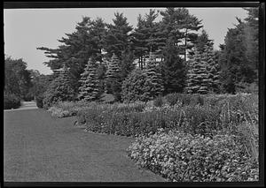 A corner of the formal perennial garden at Miss Frick's