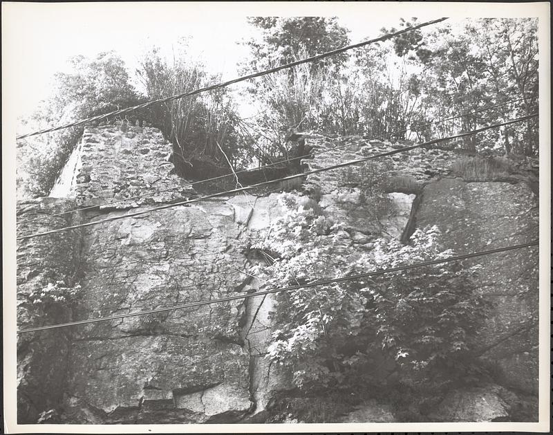 24 Grampian Way Digital Commonwealth