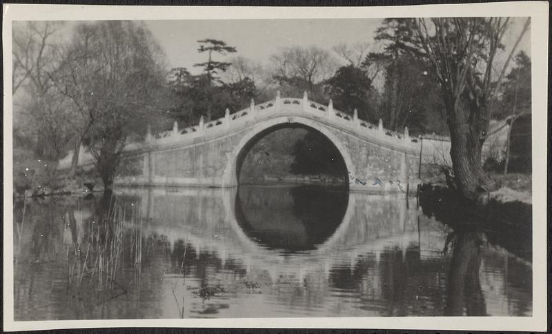 Samuel Butlers, camel back bridge