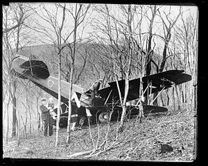A man stands holding a child in front of a plane crash