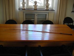 Leather buggy whip
