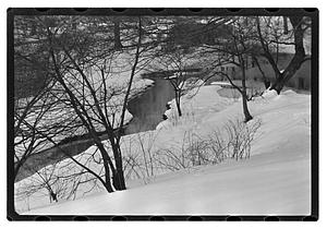 Snow pictures - Fenway