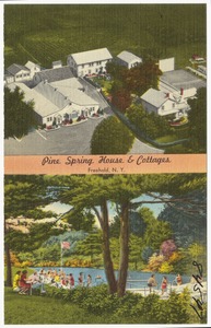 Pine Spring House & Cottages, Freehold, N. Y.