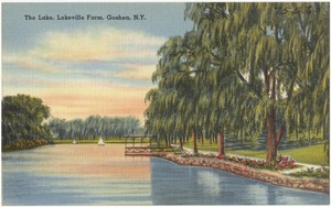 The lake, Lakeville Farm, Goshen, N. Y.