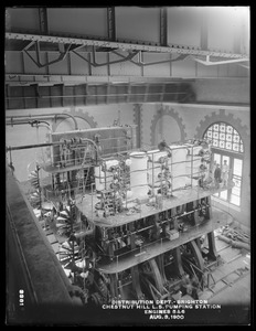 Distribution Department, Chestnut Hill Low Service Pumping Station, Engine Nos. 5 and 6, Brighton, Mass., Aug. 3, 1900