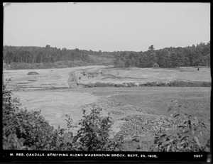 Wachusett Reservoir, stripping along Waushacum Brook, Oakdale, West Boylston, Mass., Sep. 29, 1905