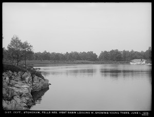 Distribution Department, Northern High Service Middlesex Fells Reservoir, West Basin, looking west, showing young trees, Stoneham, Mass., Jun. 1, 1906
