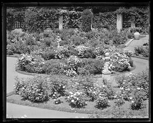 Franklin Park rose garden