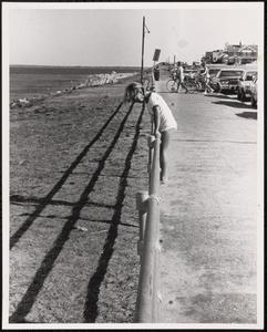 Girl standing on a fence by the water