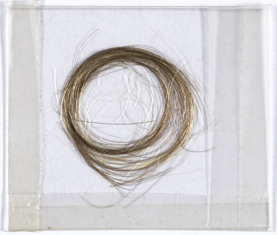 Lock of Theodore Parker's hair, [Boston, Massachusetts], to Caroline C. Thayer