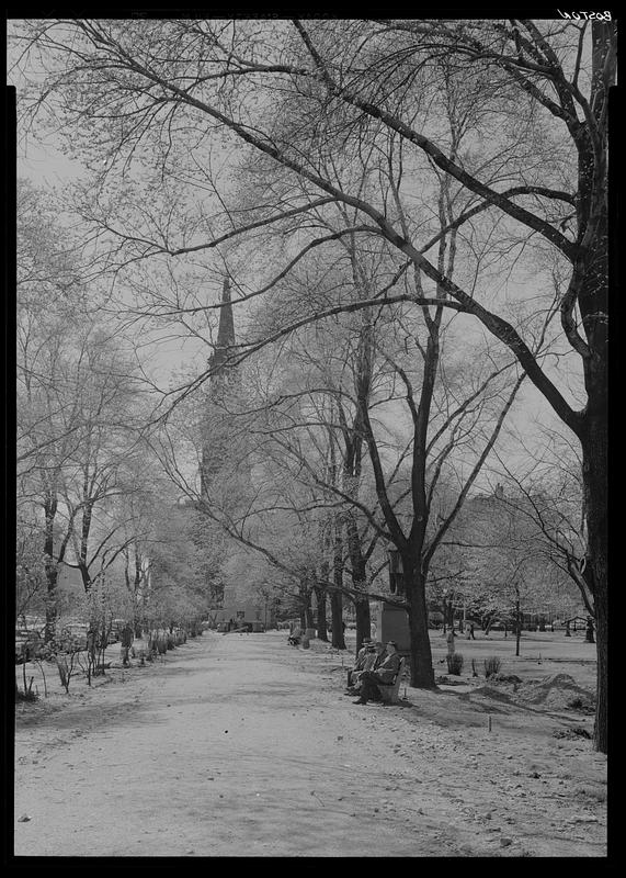 Boston Common