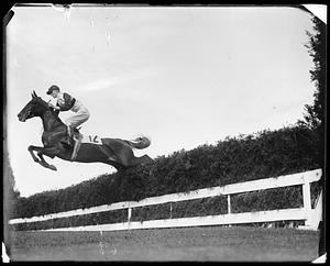 Horse jumping