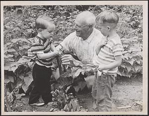 The Sweeney family at the grandparents home