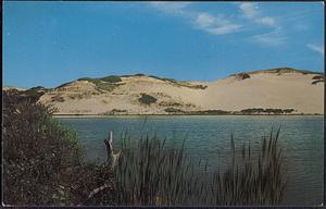 Cape Cod Sand Dunes