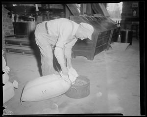 Miller preparing grist for the mill, Sudbury