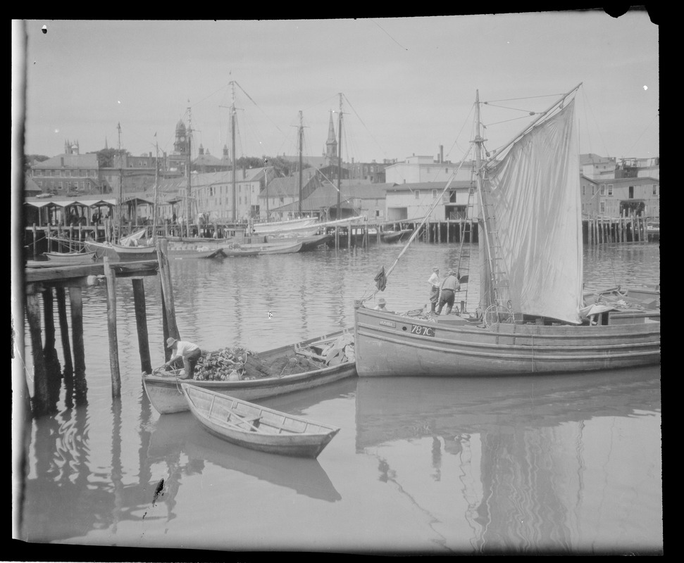 Gloucester Harbor