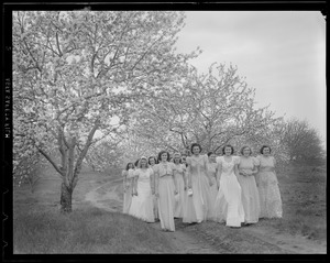 Singers at the Apple Blossom Festival, Groton