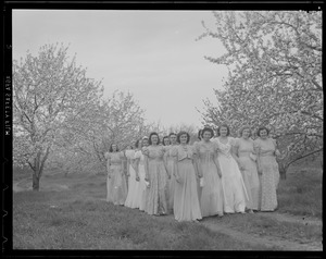 Singers at the Apple Blossom Festival, Groton