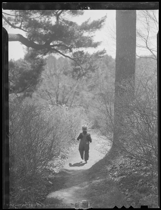 Boy on path in woods