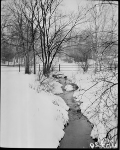 Stream in snow