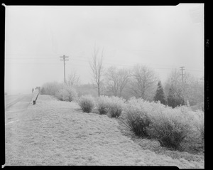 Unidentified