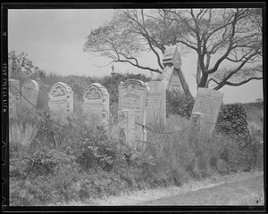 Graveyard, possibly North Shore