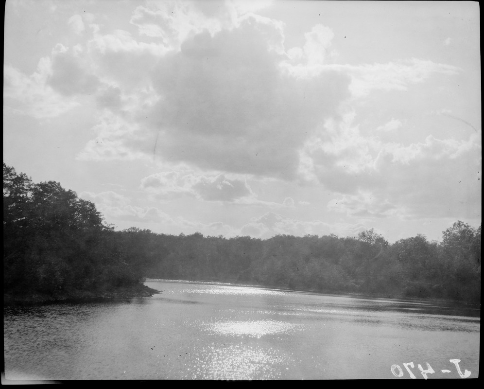 Water views, lake or pond