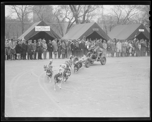 First army test of wheeled dog sleds
