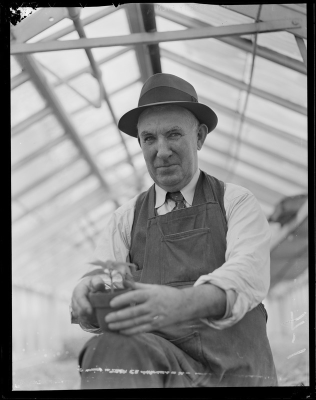 Man in greenhouse Arboretum?