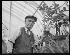Man in greenhouse Arboretum?