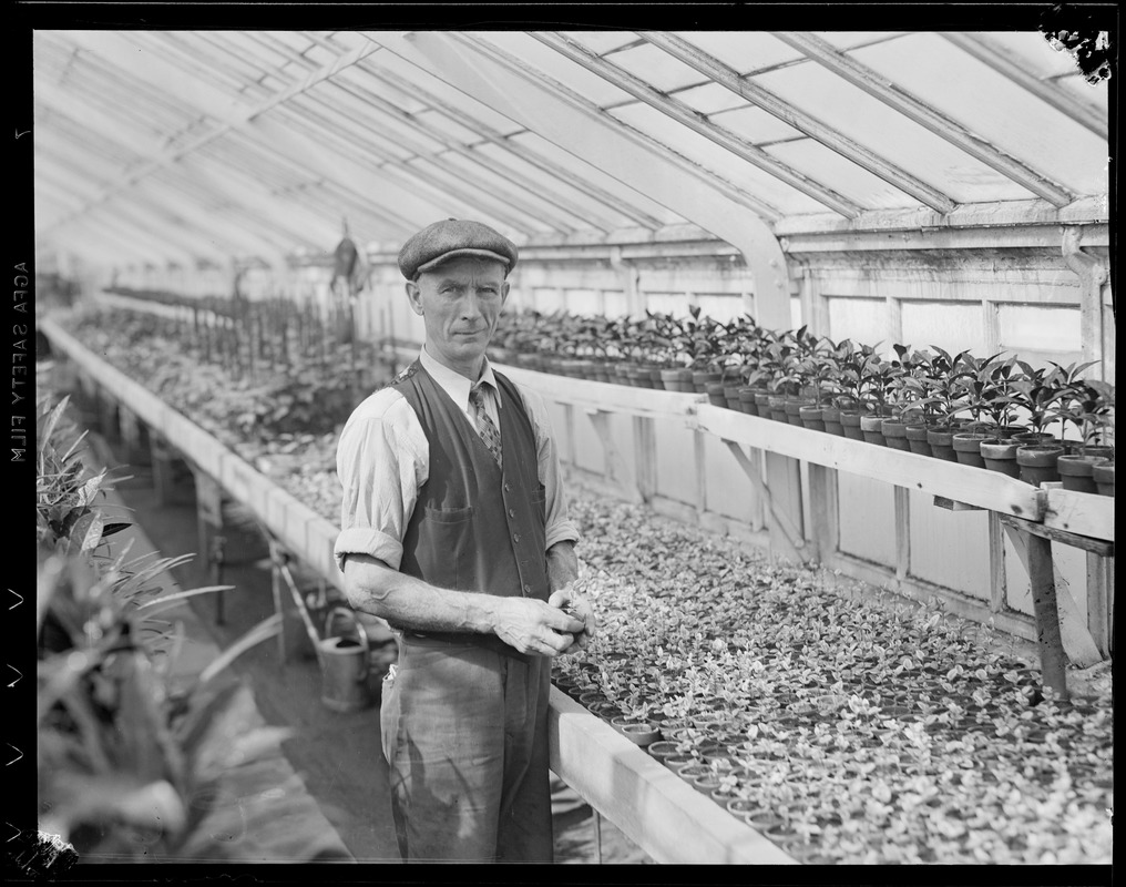 Man in greenhouse Arboretum?