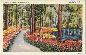 Cypress Gardens, Charleston, S. C.