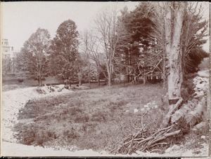 Sudbury Reservoir, Section A, land of Joseph Burnett west of Burnett Road, eastern part, from the south near culvert, Southborough, Mass., Oct. 20, 1897