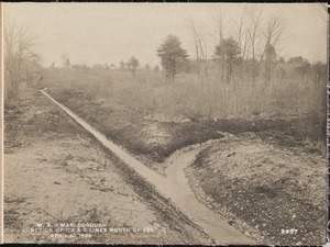 Wachusett Aqueduct, Crane Swamp, drainage ditches, swamp after building of drainage ditches; junction of A and C Lines north of 560, Marlborough, Mass., Apr. 10, 1899