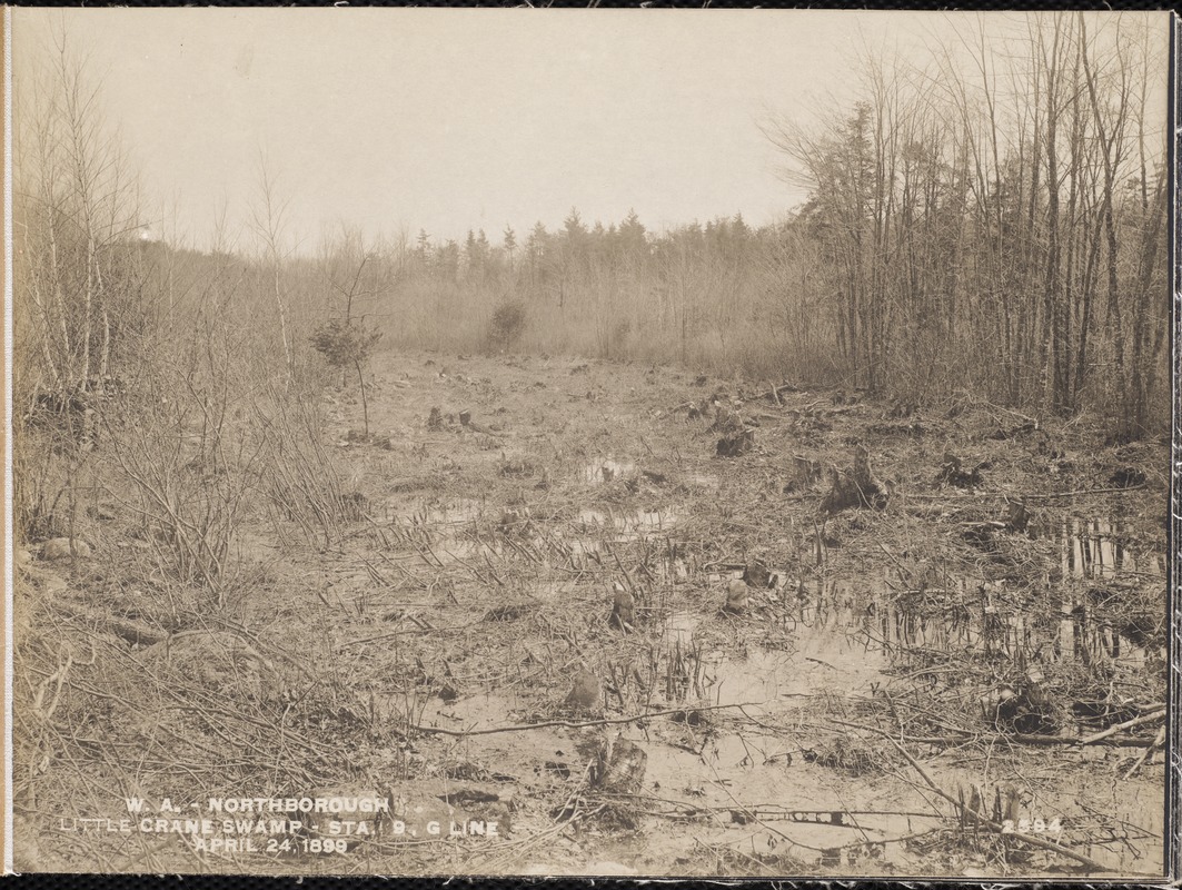 Wachusett Aqueduct, Little Crane Swamp before improvement, station 9, G Line, Northborough, Mass., Apr. 24, 1899