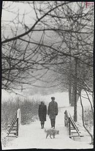 Let it Snow-Young couple, accompanied by dog, stroll through Fenway at height of storm.