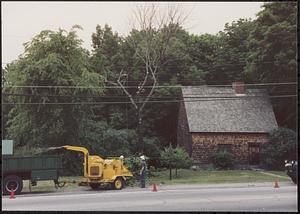 Peak House repairs (tree removal)